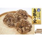 定期便 鳥取の宝 舞茸 3株 セット
