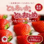 新旧2種食べ比べセット とちおとめ とちあいか 270g×2パック