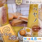 はやのみるまる20セット 15個入り