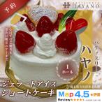 028-002 ジェラート苺のデコレーションケーキ