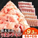 鶏肉 もも むね 9.3kg