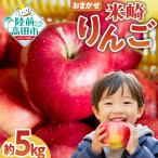 りんご 品種おまかせ5kg 米崎りんご