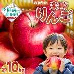 りんご 品種おまかせ10kg 米崎りんご