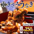 きざみうなぎ12ヶ月定期便 Wfb-0218