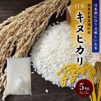 令和7年産 キヌヒカリ 白米 5kg