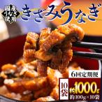 きざみうなぎ6ヶ月定期便 Wfb-0224