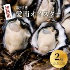 愛南 オイスター 2kg