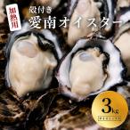 愛南 オイスター 3kg