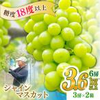 シャインマスカット 6房 3.6kg以上