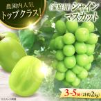 シャインマスカット 2kg