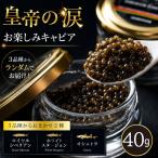 fu.... налог черная икра [ пробный черная икра ] император. слезы 40g 3 товар вид из Random .2 вид черная икра Miyazaki префектура Kobayashi город 
