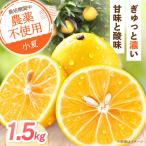 自然栽培小夏 1.5kg