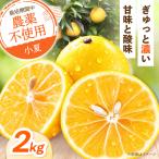 自然栽培小夏 2kg