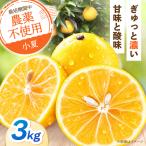自然栽培小夏 3kg〈2027年4月1日