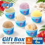 ブルーシール アイス 6 6種類 沖縄