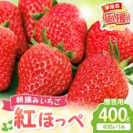 朝摘みいちご 紅ほっぺ 400g