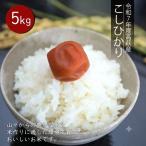 高萩産 コシヒカリ 5kg