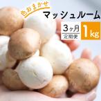 八幡平マッシュルーム1kg 3ヶ月定期便