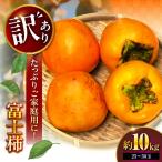 訳あり 富士柿 10kg