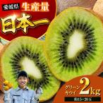 キウイ グリーンキウイ 2kg