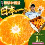 みかん 温州みかん 1kg