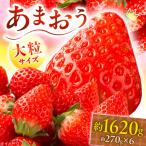 あまおう いちご 1620g