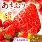 あまおう いちご 1620g