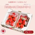 いちご とちあいか スカイベリーセット 270g×2パック