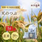 天のつぶ 玄米 30kg
