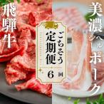 飛騨牛 豚 切り落とし 定期便 全6回 トキノ屋