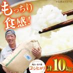 おいしい 亀山 白川産コシヒカリ 10kg
