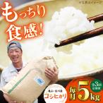 おいしい 亀山 白川産コシヒカリ 5kg×3ヶ月