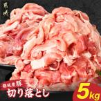 都城産豚切り落とし5kg