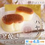 005-011S 窯焼きチーズケーキ1セット 5個入り