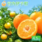 特級品 愛果28号 紅まどんな と同品種 4.5kg