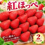 いちご 紅ほっぺ 2パック