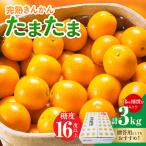 糖度16度以上 完熟 きんかん たまたま 計3kg以上