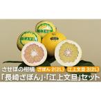文旦 ざぼん セット 計4kg