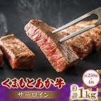 くまもと あか牛 サーロイン 1.0kg