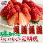 旬ないちご品種おまかせ6ヶ月連続お届け便 約250g×4パック