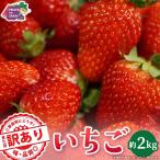 いちご 約2kg