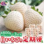 白いちご 約200g×4パック