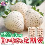 白いちご 約200g×2パック