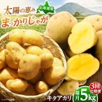 じゃがいも とうや 5kg