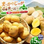 じゃがいも 4種食べ比べ定期便 5kg×4種