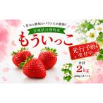 いちご イチゴ 苺 もういっこ 2kg