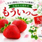 いちご イチゴ 苺 もういっこ 1kg