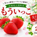 いちご イチゴ 苺 もういっこ 2000g