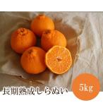 長期熟成しらぬい5kg