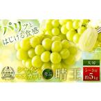 シャインマスカット 晴王 秀品 大房 5 9房 約5kg